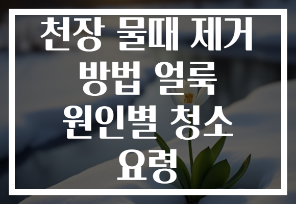 천장 물때 제거 방법 얼룩 원인별 청소 요령