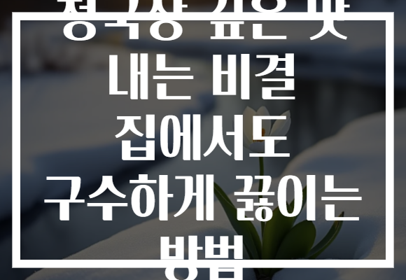 청국장 깊은 맛 내는 비결 집에서도 구수하게 끓이는 방법