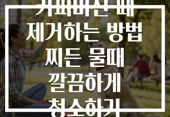 커피머신 때 제거하는 방법 찌든 물때 깔끔하게 청소하기