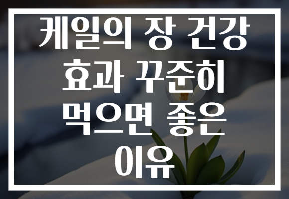 케일의 장 건강 효과 꾸준히 먹으면 좋은 이유