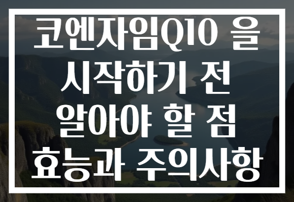 코엔자임Q10 을 시작하기 전 알아야 할 점 효능과 주의사항