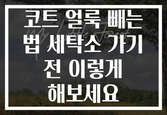 코트 얼룩 빼는 법 세탁소 가기 전 이렇게 해보세요