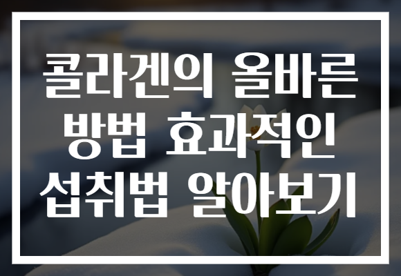 콜라겐의 올바른 방법 효과적인 섭취법 알아보기