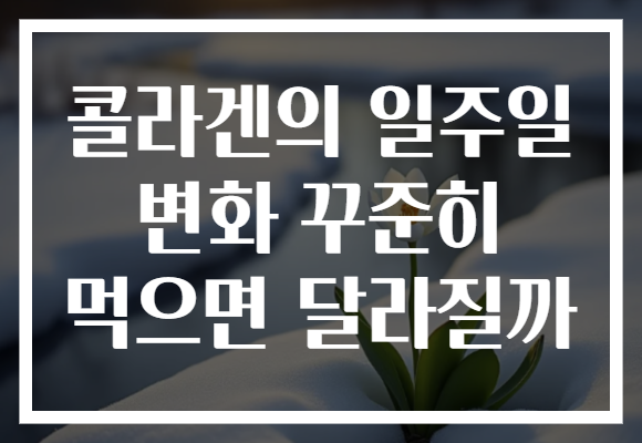 콜라겐의 일주일 변화 꾸준히 먹으면 달라질까