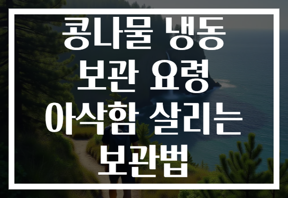 콩나물 냉동 보관 요령 아삭함 살리는 보관법