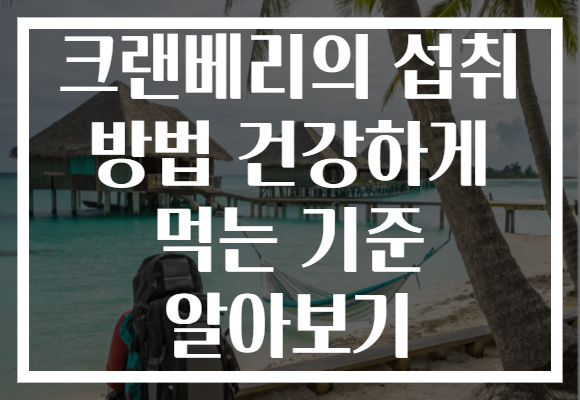 크랜베리의 섭취 방법 건강하게 먹는 기준 알아보기