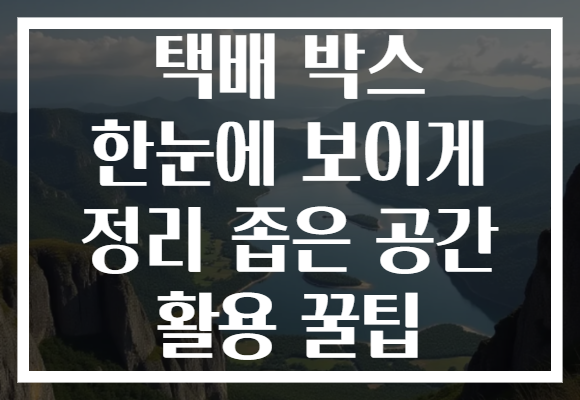 택배 박스 한눈에 보이게 정리 좁은 공간 활용 꿀팁
