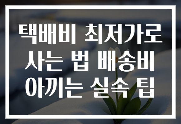 택배비 최저가로 사는 법 배송비 아끼는 실속 팁