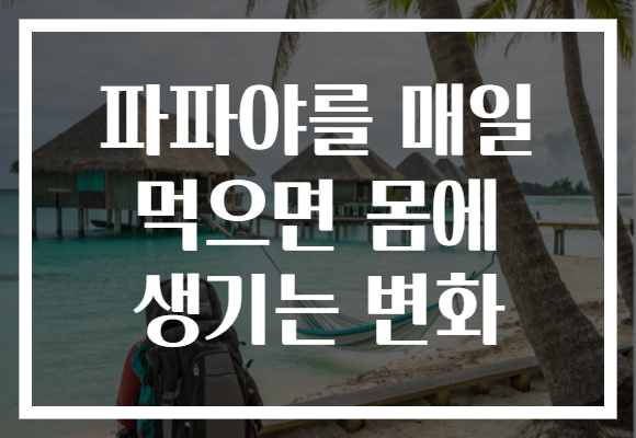 파파야를 매일 먹으면 몸에 생기는 변화