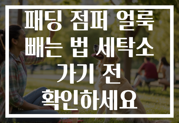 패딩 점퍼 얼룩 빼는 법 세탁소 가기 전 확인하세요