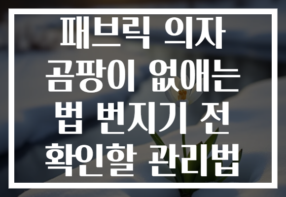 패브릭 의자 곰팡이 없애는 법 번지기 전 확인할 관리법