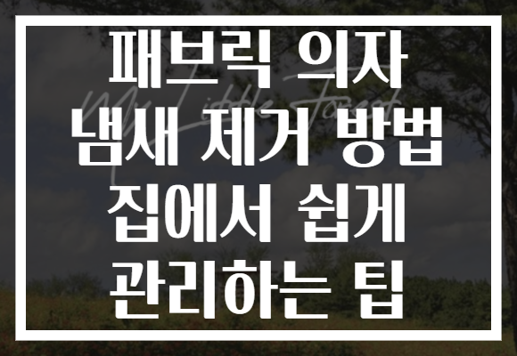 패브릭 의자 냄새 제거 방법 집에서 쉽게 관리하는 팁