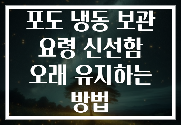 포도 냉동 보관 요령 신선함 오래 유지하는 방법