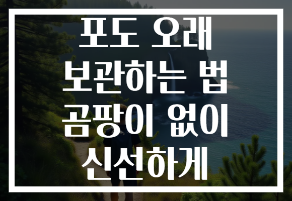 포도 오래 보관하는 법 곰팡이 없이 신선하게