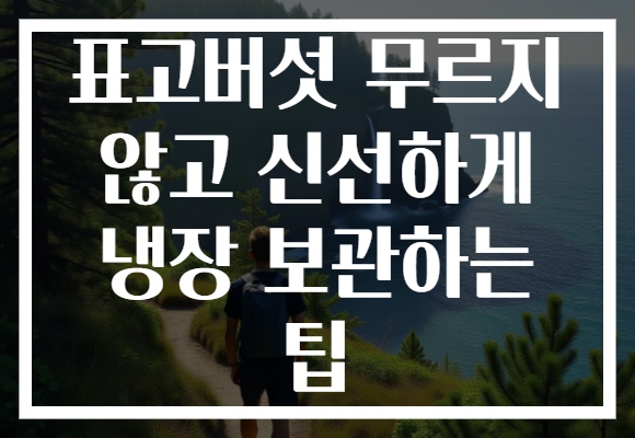 표고버섯 무르지 않고 신선하게 냉장 보관하는 팁