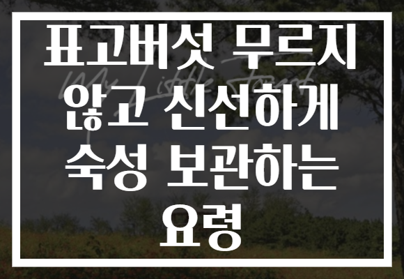 표고버섯 무르지 않고 신선하게 숙성 보관하는 요령
