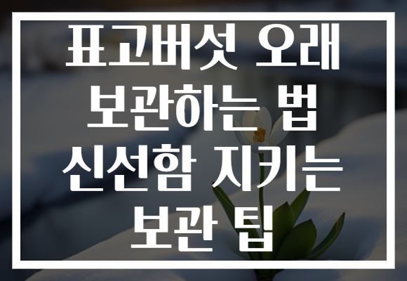 표고버섯 오래 보관하는 법 신선함 지키는 보관 팁