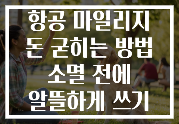 항공 마일리지 돈 굳히는 방법 소멸 전에 알뜰하게 쓰기