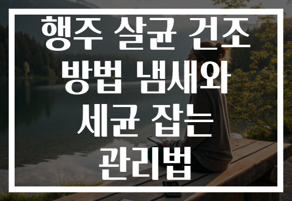 행주 살균 건조 방법 냄새와 세균 잡는 관리법