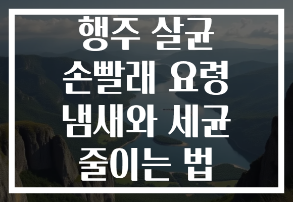 행주 살균 손빨래 요령 냄새와 세균 줄이는 법