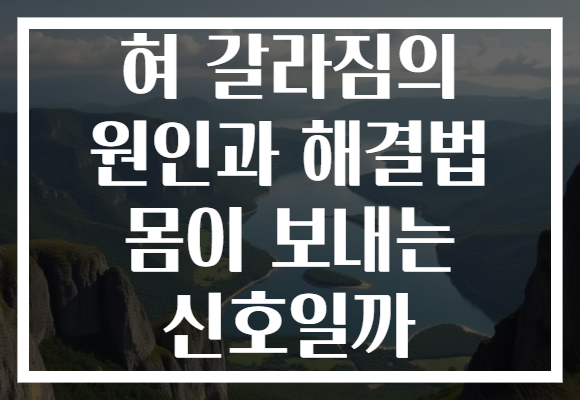 혀 갈라짐의 원인과 해결법 몸이 보내는 신호일까