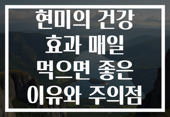현미의 건강 효과 매일 먹으면 좋은 이유와 주의점