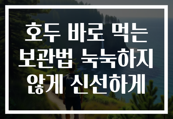 호두 바로 먹는 보관법 눅눅하지 않게 신선하게