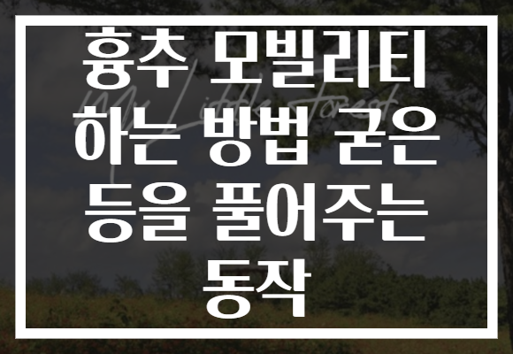 흉추 모빌리티 하는 방법 굳은 등을 풀어주는 동작