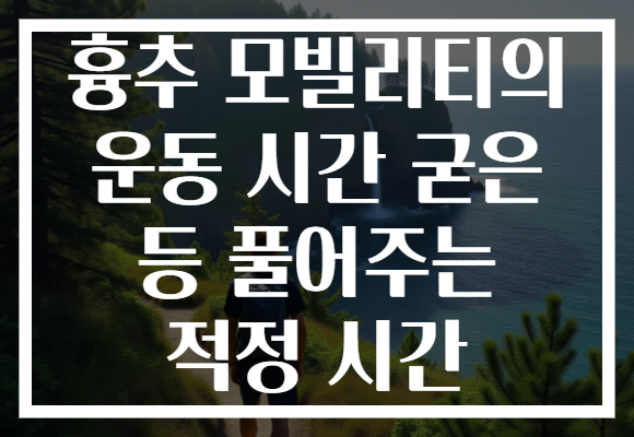 흉추 모빌리티의 운동 시간 굳은 등 풀어주는 적정 시간