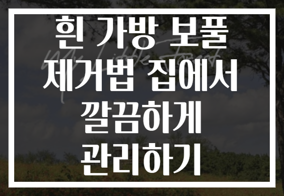 흰 가방 보풀 제거법 집에서 깔끔하게 관리하기