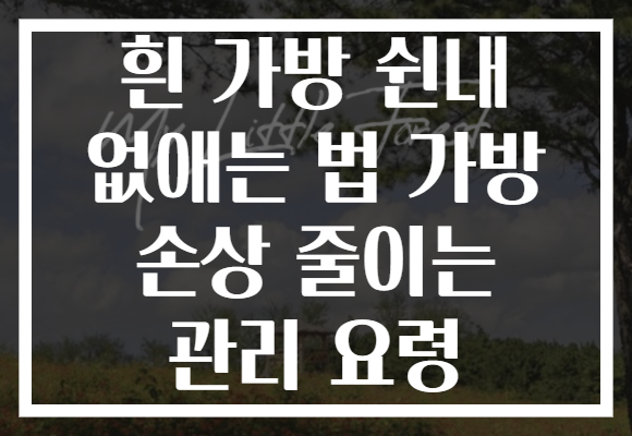 흰 가방 쉰내 없애는 법 가방 손상 줄이는 관리 요령