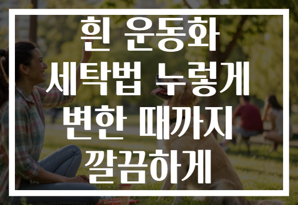 흰 운동화 세탁법 누렇게 변한 때까지 깔끔하게